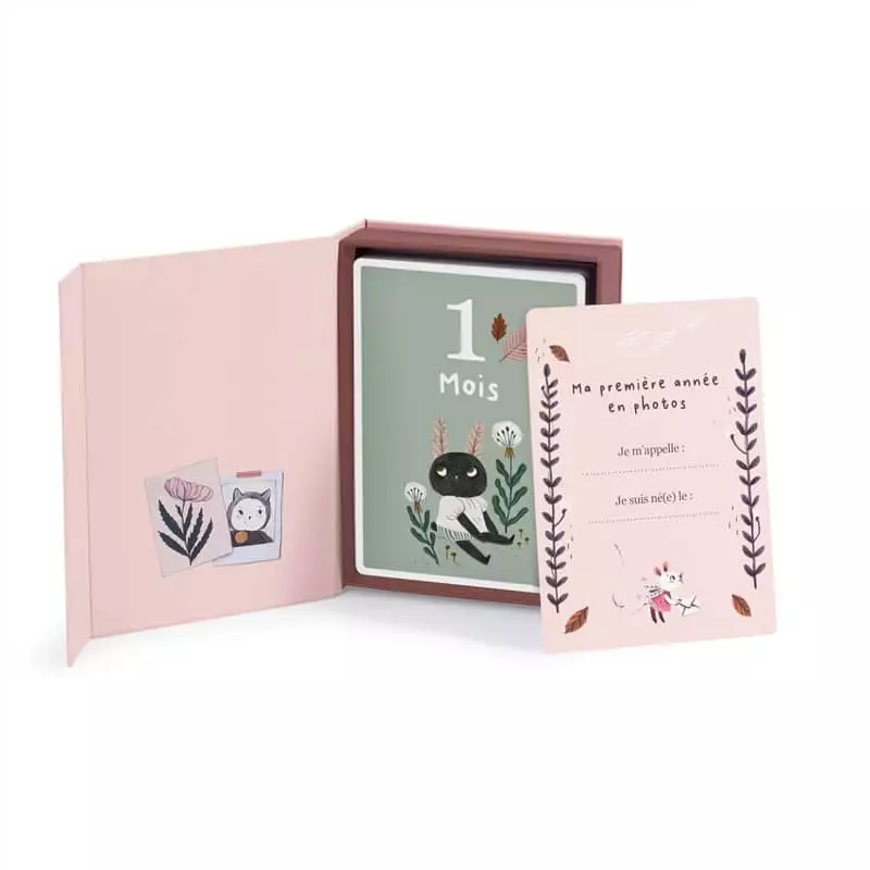 Cartes 12 Premiers Mois Après La Pluie, Moulin Roty