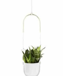 Suspension pour Plantes, Umbra