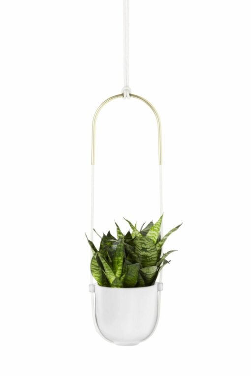 Suspension pour Plantes, Umbra