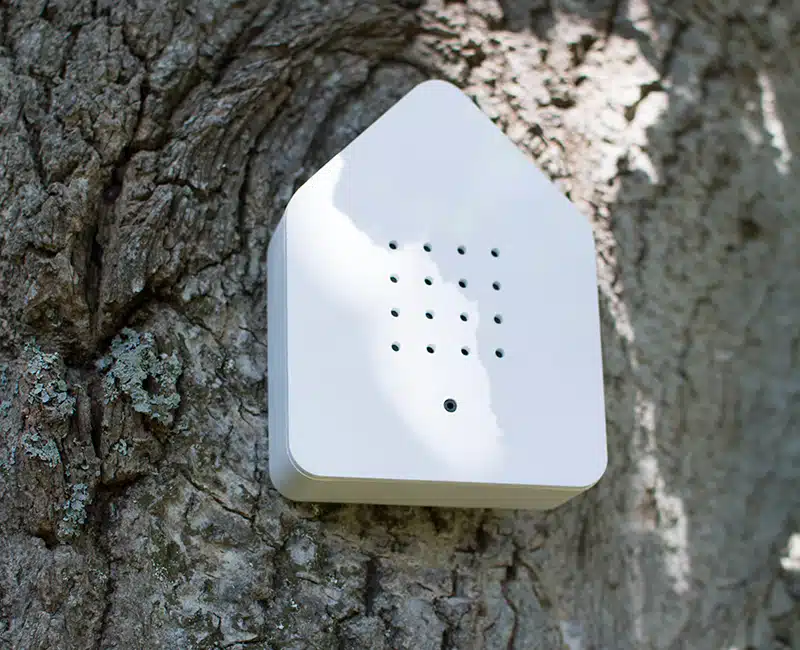Relax Box Oiseaux Maison Blanche , Relaxound.