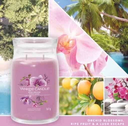 Bougie Signature Orchidée Sauvage