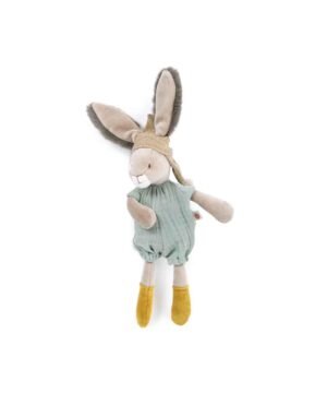 Lapin pm sauge.2