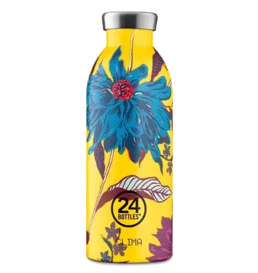 Bouteille Isotherme Climat Aster
