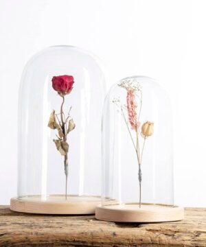 Cloche en Verre à Pince, Esschert Design