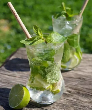 Meilleur Verre à Mojito du Monde