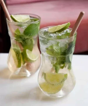 Meilleur Verre à Mojito du Monde