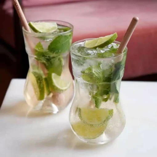 Meilleur Verre à Mojito du Monde