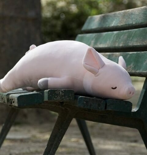 PINKIE - Cochon - Taille L - 55 cm