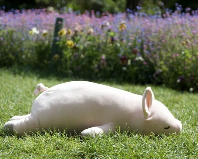 PINKIE - Cochon - Taille L - 55 cm