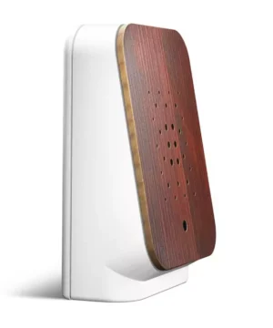 Junglebox Teck, Relaxsound