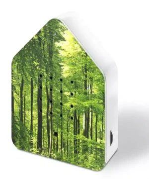 Zwitscherbox Forêt, Relaxsound