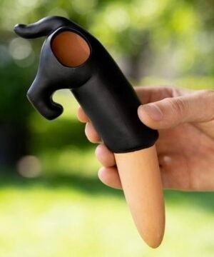 Chien Irrigateur de Plantes, Fisura