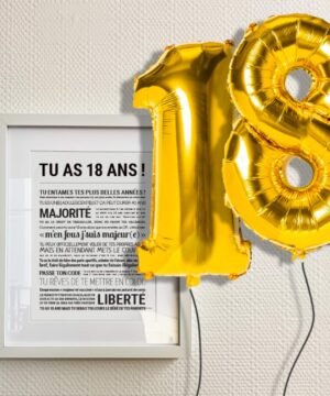 AFFICHE TU AS 18 ANS