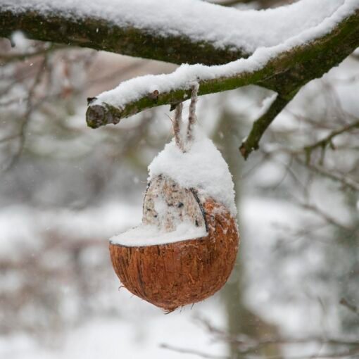 Noix de Coco Fourrée sur Corde, Esschert Design