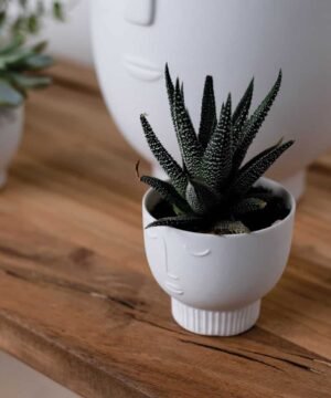Vase Visage Plusieurs tailles, Räder