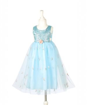 Déguisement Nicolette Robe, Souza