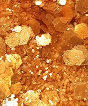 Paillettes Queen du Désert, Sisi La Paillettes