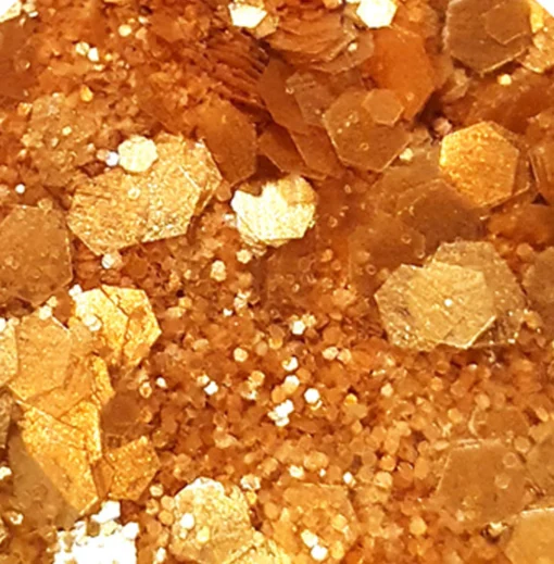 Paillettes Queen du Désert, Sisi La Paillettes