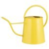 Arrosoir 3L (2 Coloris), IB Laursen