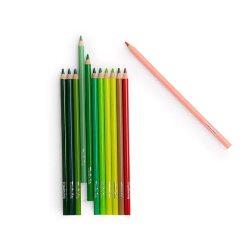 12 Crayons de Couleur & Cartes, Moulin Roty