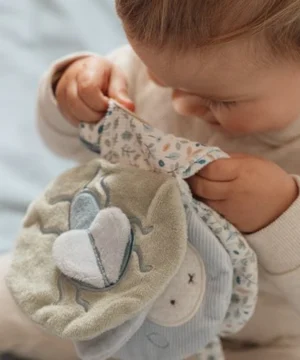 Livre Poussette Miffy Bleu, Little Dutch