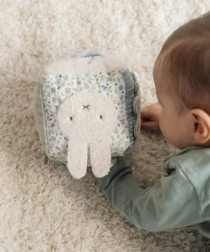 Cube d'activités Miffy Bleu, Little Dutch