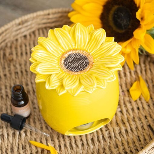 Brûleur Tournesol, Something Different