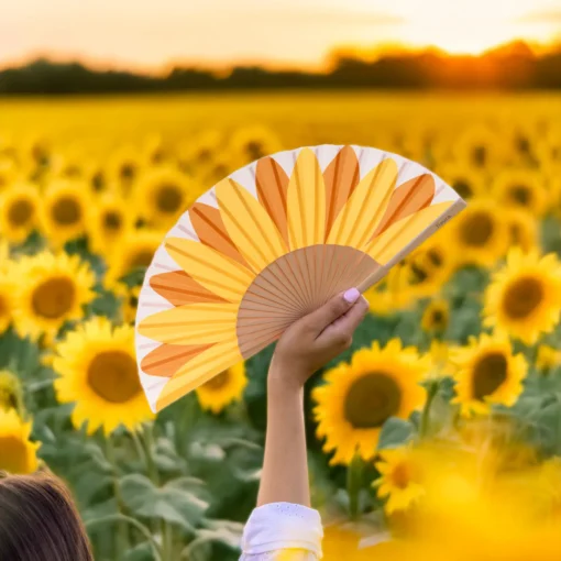 Éventail Tournesol, Fisura