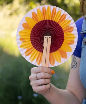 Éventail Tournesol Rond, Fisura