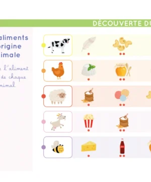 Carnet Vive la Maternelle, Etoilium