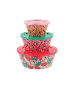 Saladier ( set de 3 + couvercles ) Japon, DLP
