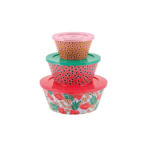 Saladier ( set de 3 + couvercles ) Japon, DLP