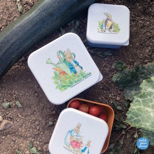 Set 3 Lunch Box Pierre Lapin, PJP