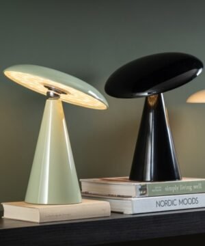 Lampe Phoebe, Present Time