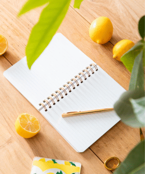 Carnet Spirale Citrons, ATWS