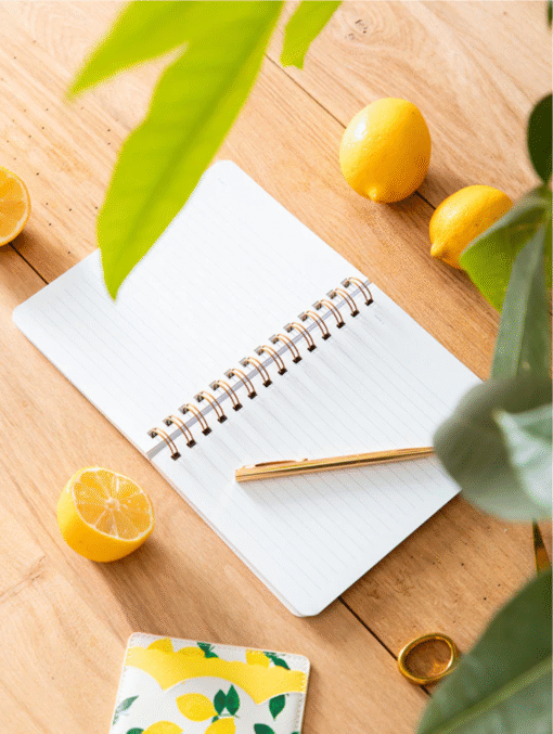 Carnet Spirale Citrons, ATWS
