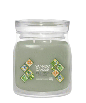 Bougie Cyprès et oliviers, Yankee Candle
