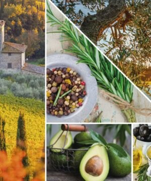 Bougie Cyprès et oliviers, Yankee Candle