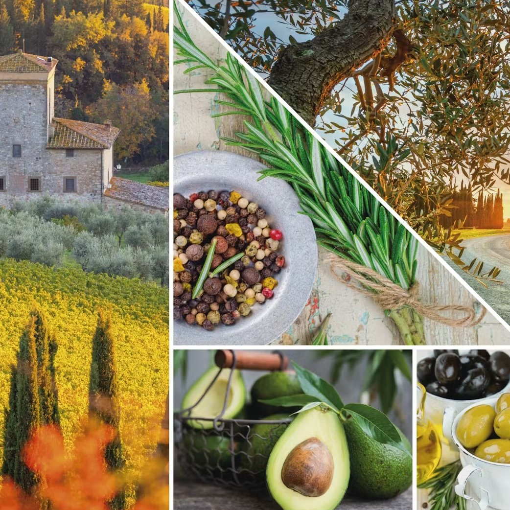 Bougie Cyprès et oliviers, Yankee Candle