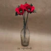 Branche de Coquelicots – New Heidi