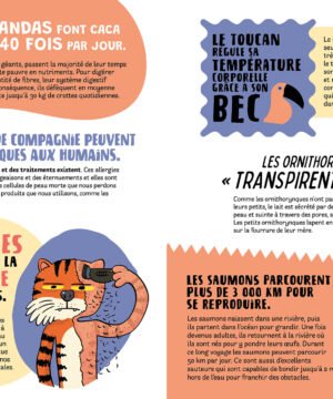 Le Grand Livre des Infos Surprenantes