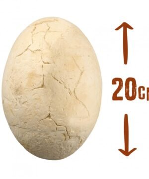 Alternative view of Œuf Géant Dinosaures à Déterrer – 4 Puzzles 3D Inclus