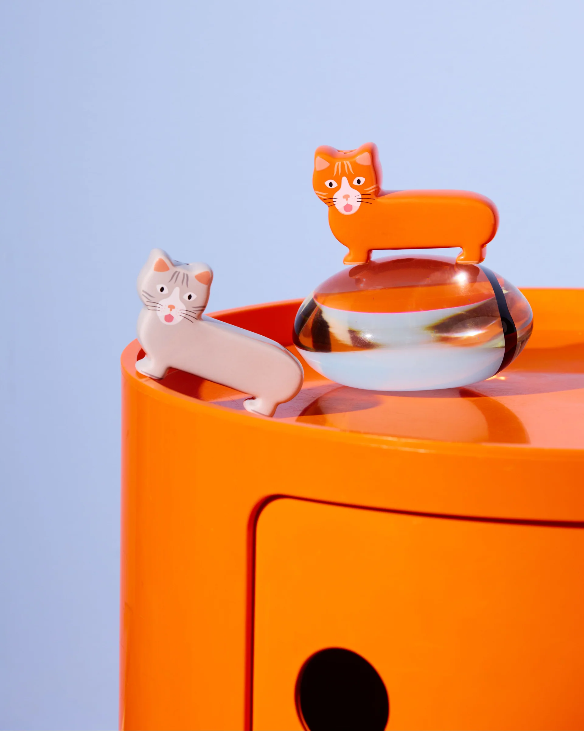 Sel & Poivre Chat, Fluid Market – Image 2