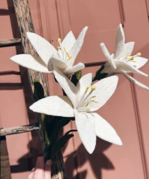 Lys en feutrine artisanale – New Heidi