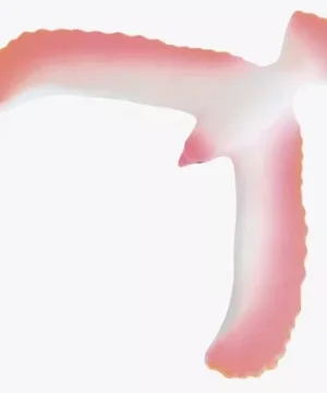 Oiseau en Équilibre Rose – Un tour fascinant, Moulin Roty