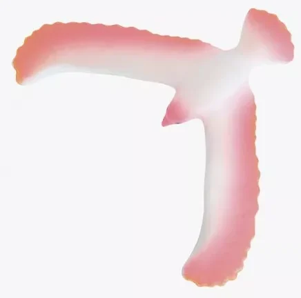 Oiseau en Équilibre Rose – Un tour fascinant, Moulin Roty