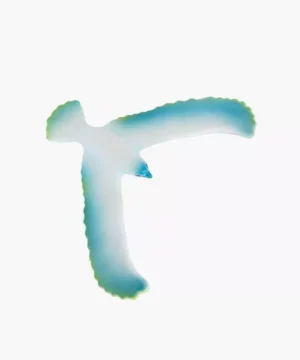 Oiseau en Équilibre – Un tour fascinant, Moulin Roty