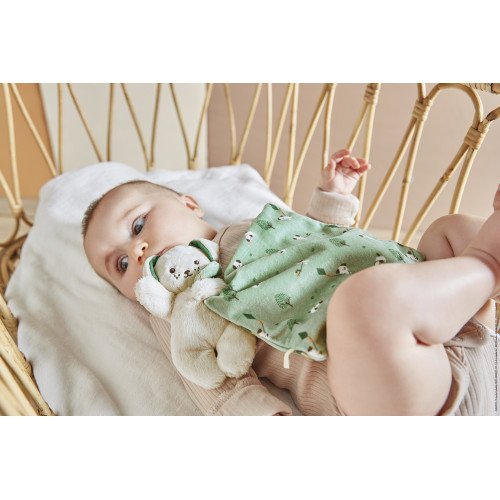 Doudou chien avec carré Vert, Kaloo – Image 3