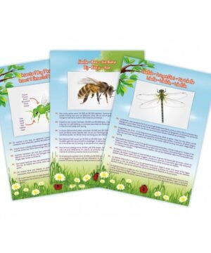 Alternative view of Aspirateur d’Insectes Enfant – Exploration et découverte en toute sécurité, Buki