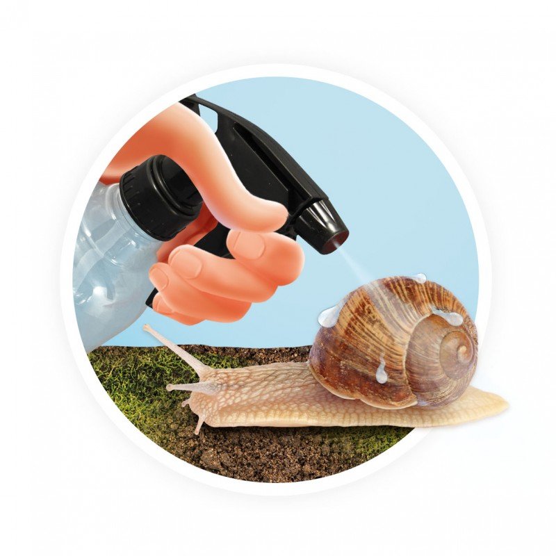 Un habitat idéal pour observer et accueillir les escargots, Buki – Image 4